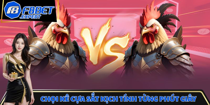 Chọi kê cựa sắt kịch tính từng phút giây