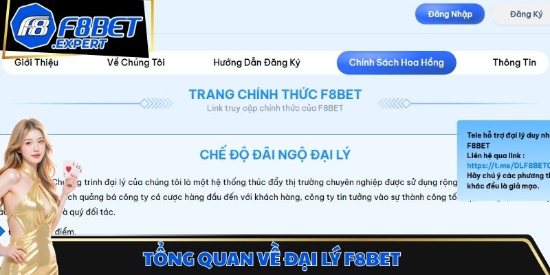Tổng quan về đại lý F8bet